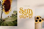 Quanta La Oranj Vintage Serif Font, a Serif Font by Creativeqube Design (Thumbnail 3 of 14)