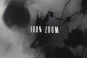Documentary - Dreamy Noir Backdrops, a Background Graphic by andromida (Thumbnail 9 of 12)