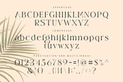 Wisteria, a Serif Font by ToniStudio (Thumbnail 10 of 12)