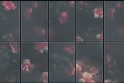 Nocturne in Bloom Floral Backgrounds, a Background Graphic by Dina Mae (Thumbnail 2 of 10)