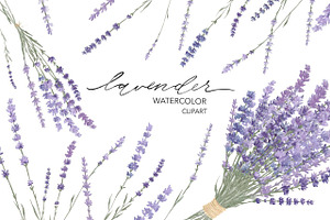 Lavender watercolor flower clipart., a Decorative Illustration by NKTKNS