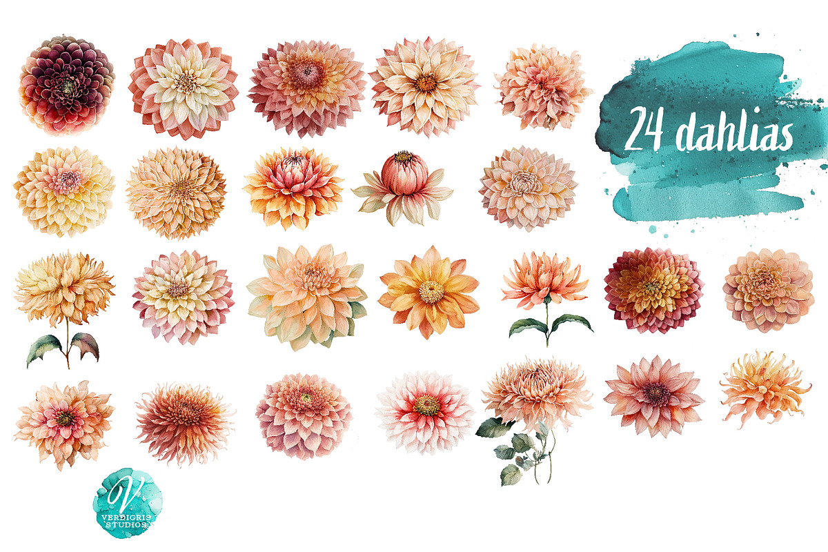 Watercolor Peach Dahlias Clipart, an Object Illustration by Verdigris Studios (Photo 3 of 4)