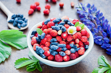 Wild strawberries blue honeysuckle containing berry, berry fruit, and blue