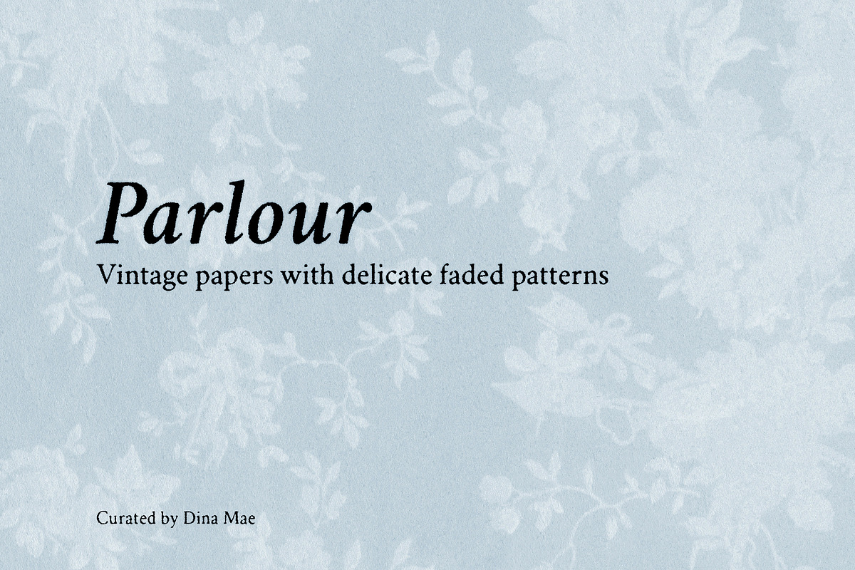 Parlour: Vintage Papers, a Texture Graphic by Dina Mae (Photo 1 of 13)