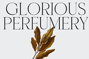 Swandale; Elegant Serif Font, a Serif Font by Eko Bimantara (Thumbnail 13 of 17)