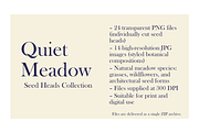 Quiet Meadow — Seed Heads Collection, an Object Graphic by Aga Silva (Thumbnail 7 of 7)