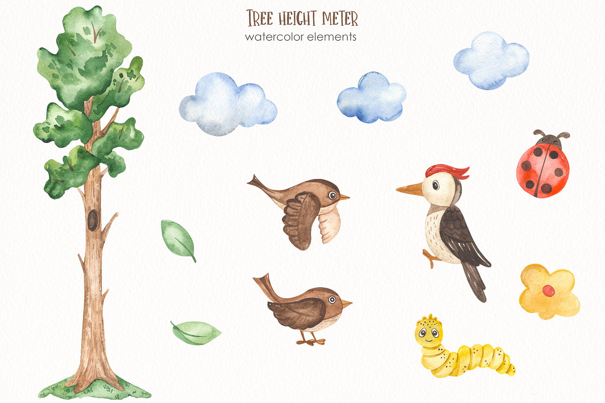 Tree height meter watercolor, a Seasonal Illustration by Marina Ermakova (Photo 2 of 4)