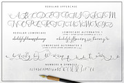 Southfall Script Font, a Script Font by Creativeqube Design (Thumbnail 9 of 14)
