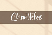 The Spirit, a Script Font by Integritype Studio (Thumbnail 12 of 14)
