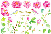 Watercolor Clipart Purple Tree Peony, an Illustration by Corner Croft (Thumbnail 2 of 4)