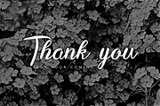 Anisa Font Script, a Script Font by Ahmad Pkp Studio (Thumbnail 9 of 9)