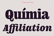 DT Augustina Slab 1 Subfamily, a Slab Serif Font by Deveze Type Foundry (Thumbnail 13 of 31)