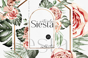 Big Bloom Bundle, an Object Illustration by Olga Koelsch (Thumbnail 4 of 13)