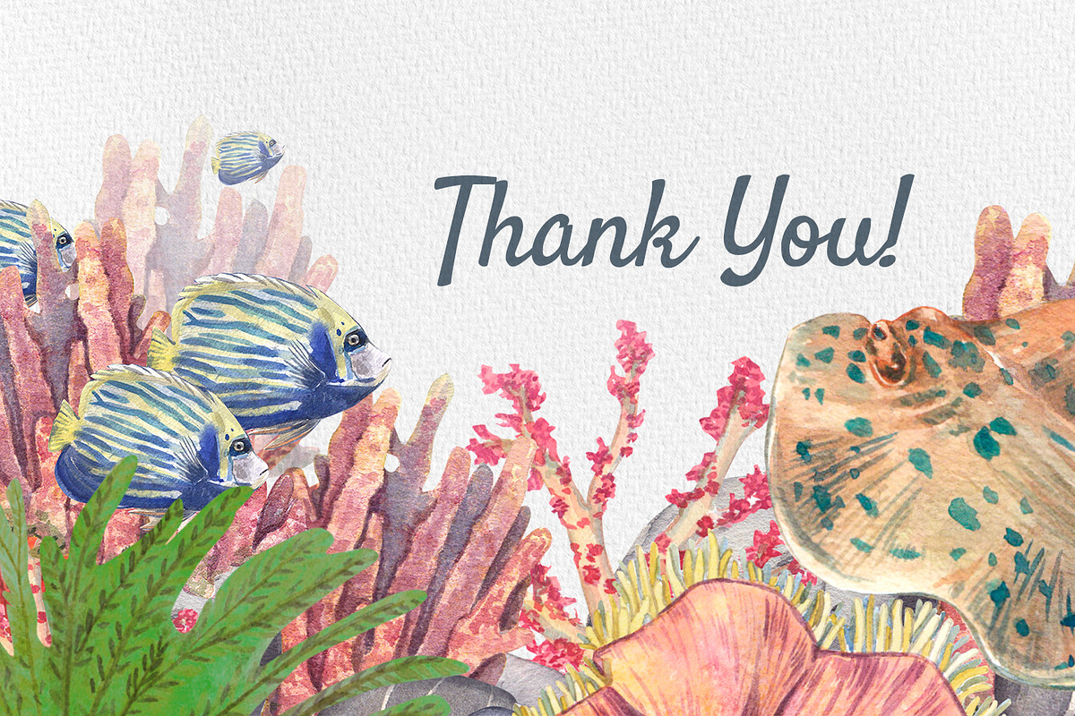 Coral Reef Watercolor Clipart, an Animal Illustration by Nastya Che (Photo 14 of 14)