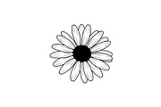 Daisy Flower Line Art Vector Bundle0, an Illustration by jahid234 (Thumbnail 6 of 51)