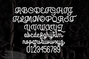 Travel Growth Vintage Font Duo, a Sans Serif Font by Lettertype Studio (Thumbnail 11 of 15)