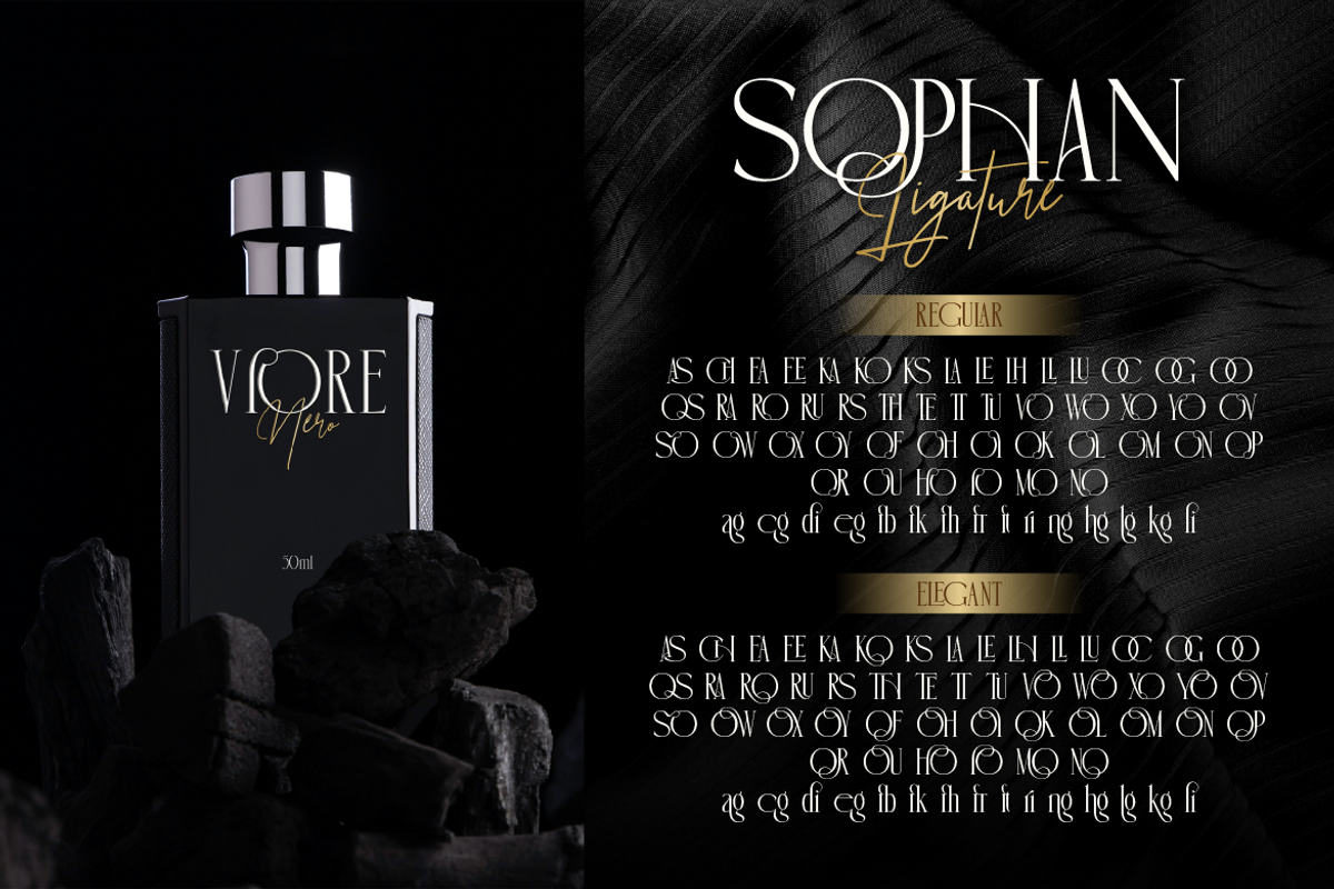 Sophan Elegant, a Serif Font by Burntilldead (Photo 8 of 12)