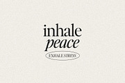 Editor's Note: Clean Editorial Serif, a Serif Font by Jen Wagner Co (Thumbnail 23 of 25)