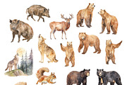 Woodland Bundle, an Animal Illustration by TheCuteShop (Thumbnail 7 of 12)