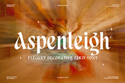 Aspenleigh Decorative Serif Font, a Serif Font by Heinzel Std (Thumbnail 1 of 15)