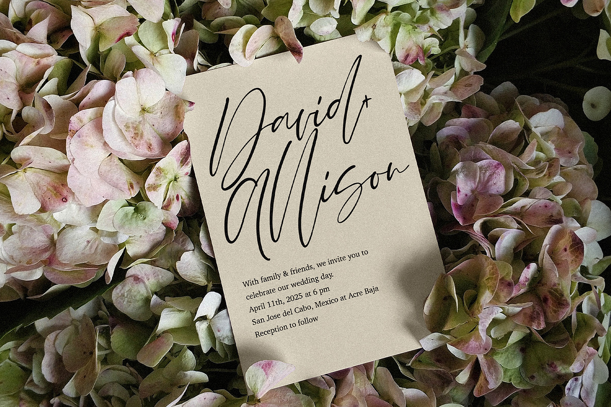 Nicoletta handwritten signature font, a Handwritten Font by BilberryCreates (Photo 2 of 11)