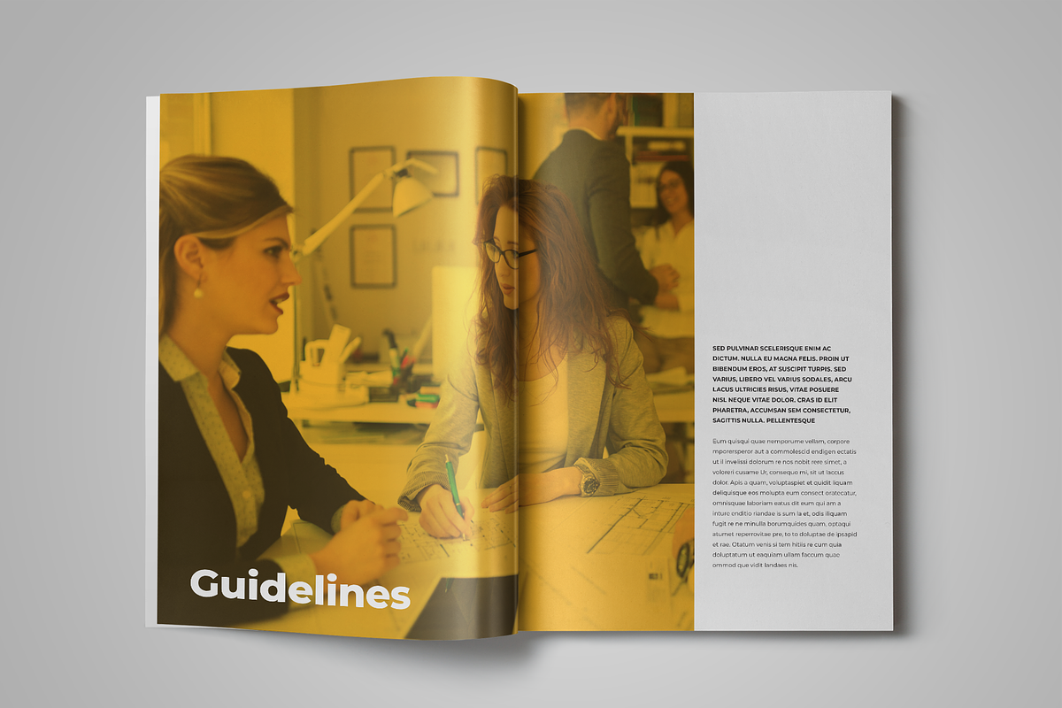Employee Training Manual Template, a Brochure Template by StockInDesign (Photo 2 of 10)