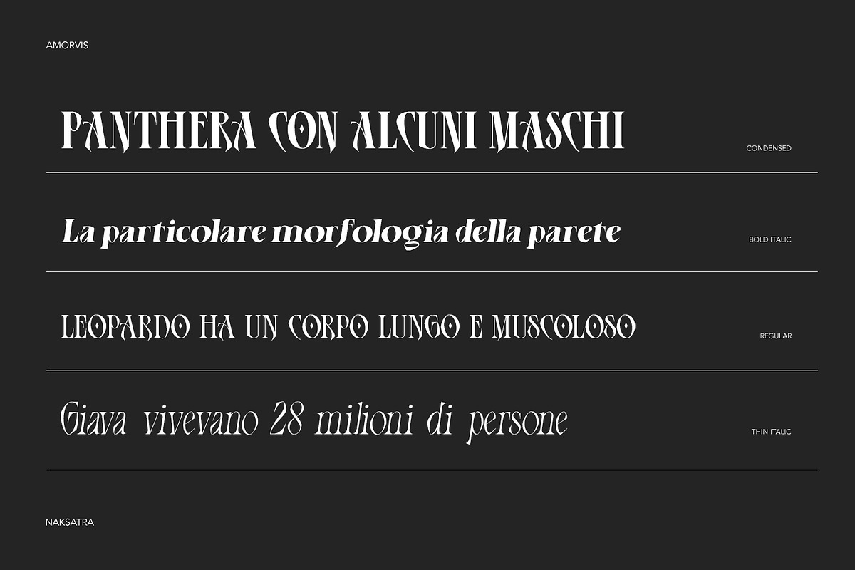 Amorvis, a Serif Font by Naksatra (Photo 6 of 13)