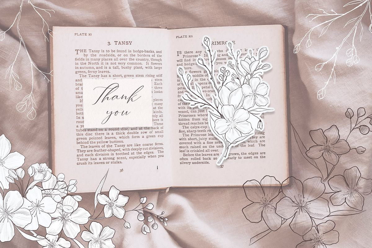 Cherry blossom cliparts and patterns, an Illustration by TatiArti (Photo 12 of 12)
