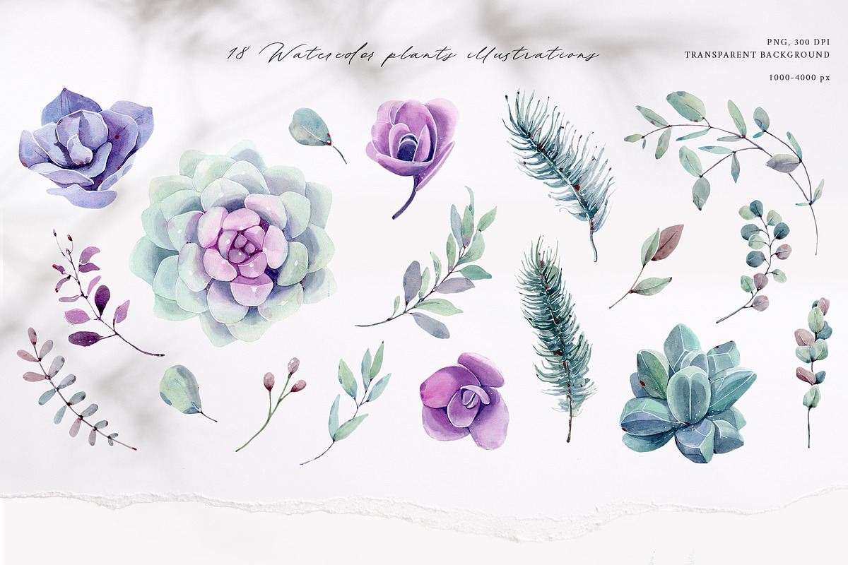 BOHO WINTER Watercolor set, a Decorative Illustration by Lemaris (Photo 4 of 8)