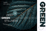 Deep Green Stillness, a Wallpaper Graphic by Lumeno (Thumbnail 1 of 4)