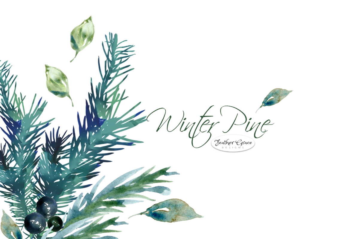 Pine Branches & Wreaths, an Illustration by Feather Grace Designs (Photo 3 of 13)