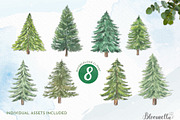 Watercolour Christmas Trees Holidays, an Object Illustration by Bloomella (Thumbnail 1 of 6)