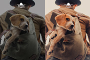 Lifestyle Lightroom Presets, an Action Add-On by Lavinsky Art Store (Thumbnail 10 of 12)