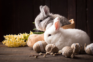 cute easter bunny with handmade deco