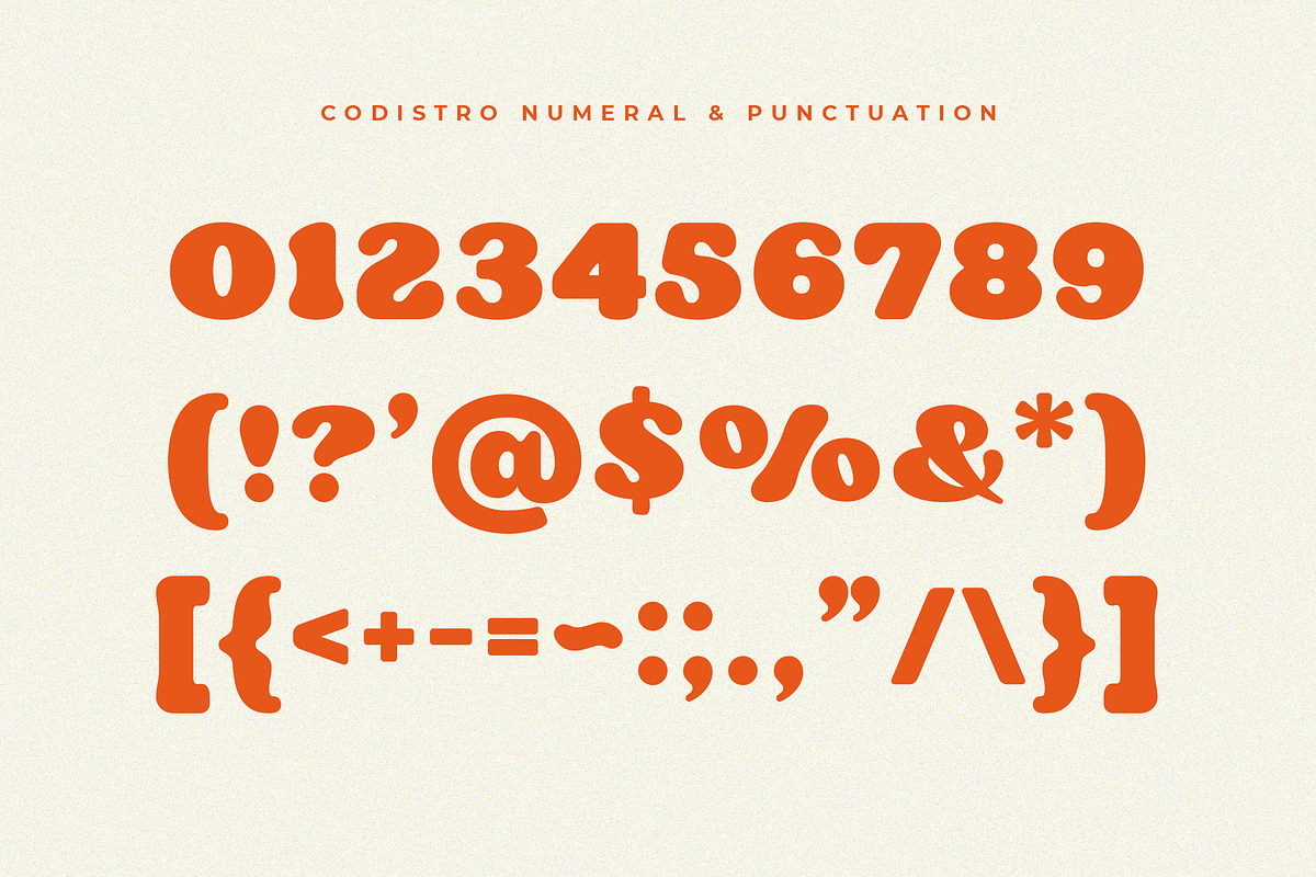 Codistro - Soft Retro Classic, a Serif Font by Typia Nesia (Photo 3 of 11)