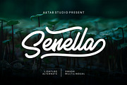 Senella Script Font, a Script Font by Aktab Studio (Thumbnail 1 of 9)