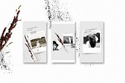 Instagram Posts & Stories - Natural, a Social Media Template by CreativeFolks (Thumbnail 6 of 10)