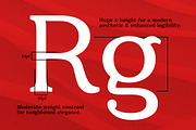 Quantik Contemporary Serif, a Serif Font by Parker Creative (Thumbnail 2 of 6)