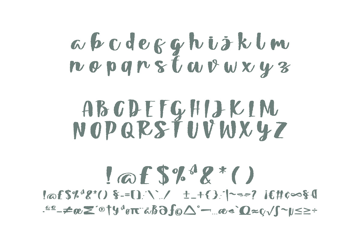 Sandero, a Script Font by Horlleys (Photo 4 of 5)