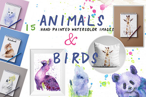 Animals & Birds Watercolor Set