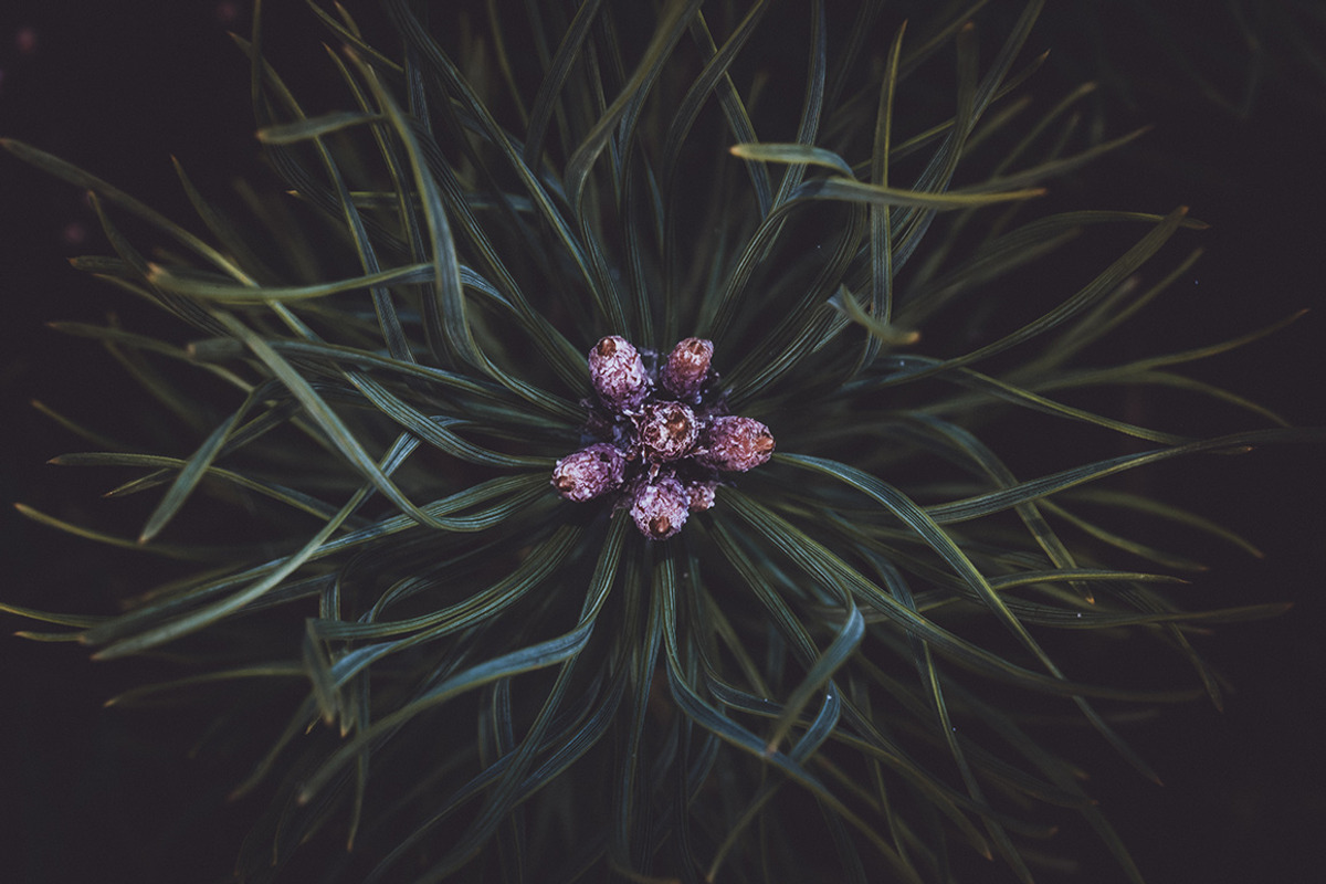 Moody Lightroom Presets - Landscapes, an Action Add-On by PhotoMarket (Photo 23 of 35)