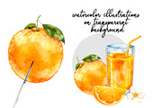 Orange Watercolor Clipart - PNG, a Food Illustration by Eves_Aquadreams (Thumbnail 2 of 11)