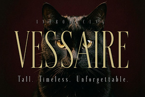 VESSAIRE - Elegant Tall Serif