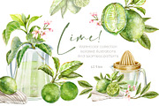 Lime! Watercolor clip art & patterns, a Food Illustration by Shabbypie (Thumbnail 1 of 4)