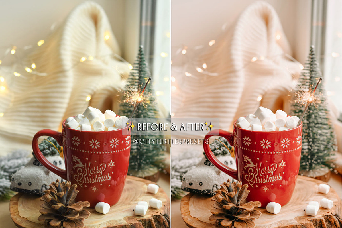 Natural Winter Magic LR Presets, an Action Add-On by CityTurtles (Photo 3 of 10)