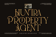 Grons Marune Elegant Serif Font, a Serif Font by Perfectype (Thumbnail 2 of 8)