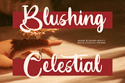 Earthy Nautical Bold Calligraphy, a Script Font by Letterena Studios Script (Thumbnail 19 of 20)