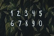 Leafy Brush Font, a Script Font by Wild Ones (Thumbnail 5 of 7)
