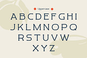 Revaston - Classic Slab Serif Font, a Slab Serif Font by Flawless And Co (Thumbnail 6 of 10)
