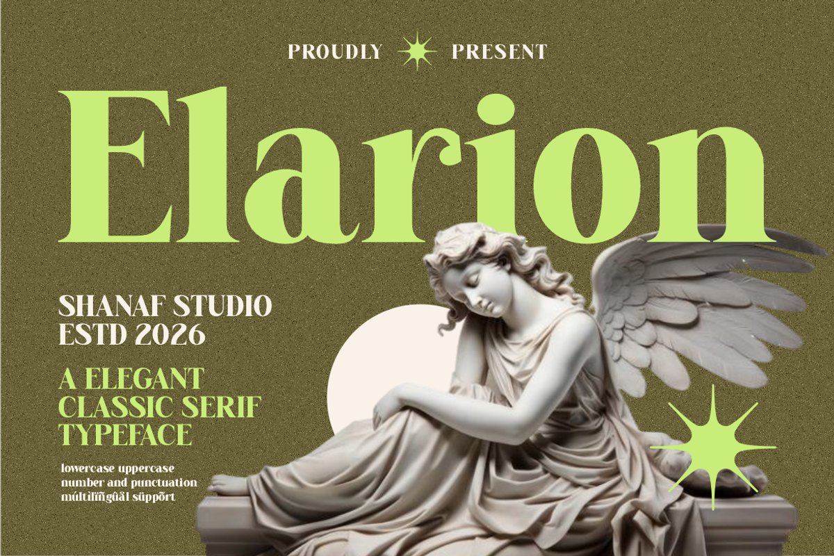 Elarion Elegant Serif Font, a Font by PutraCetol Studio (Photo 1 of 5)